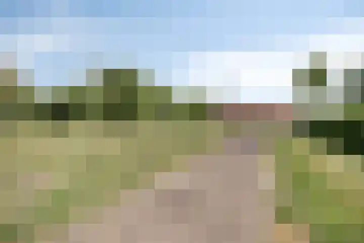 De Laathof 1 Sint Geertruid thumbnail 64