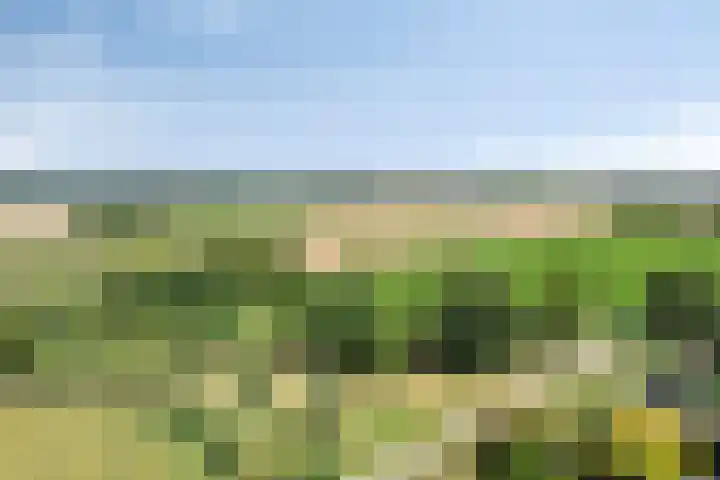De Laathof 1 Sint Geertruid thumbnail 65