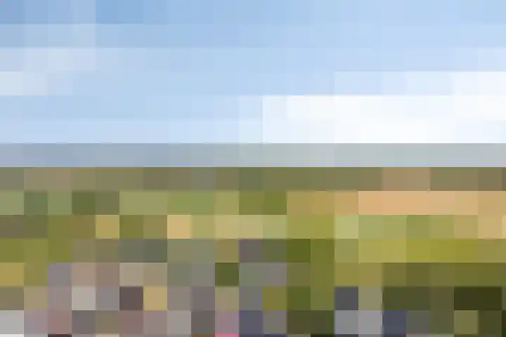 De Laathof 1 Sint Geertruid thumbnail 66