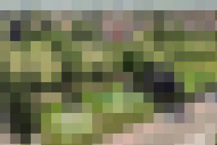 De Laathof 1 Sint Geertruid thumbnail 67