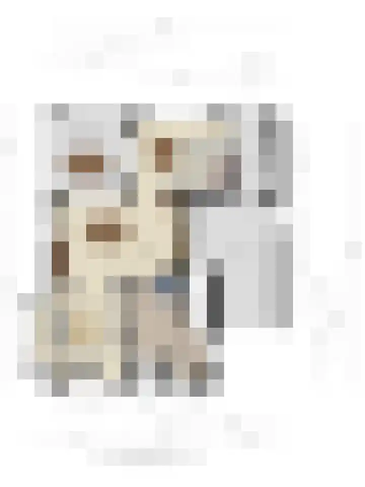 De Laathof 1 Sint Geertruid thumbnail 68