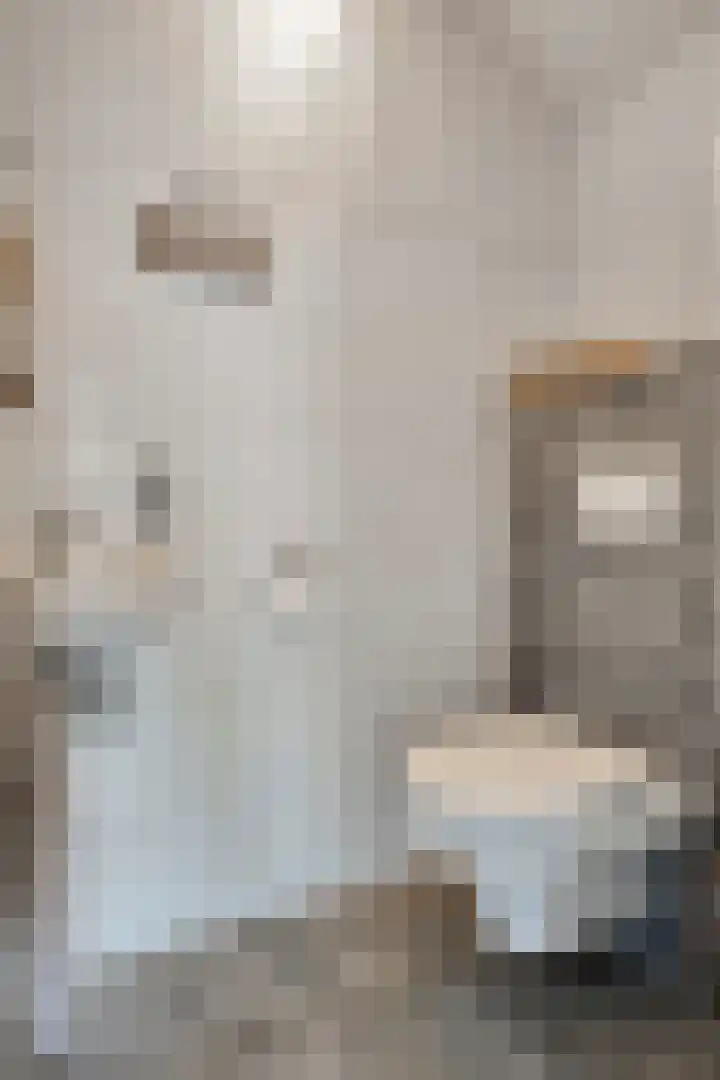 De Laathof 1 Sint Geertruid thumbnail 7