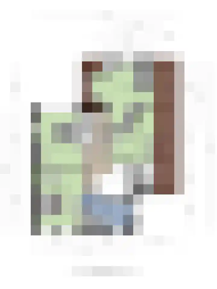 De Laathof 1 Sint Geertruid thumbnail 70