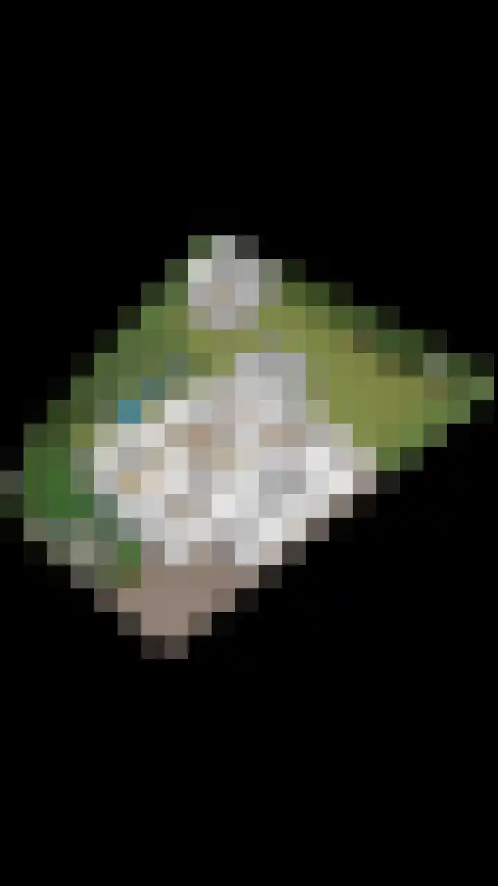 De Laathof 1 Sint Geertruid thumbnail 75