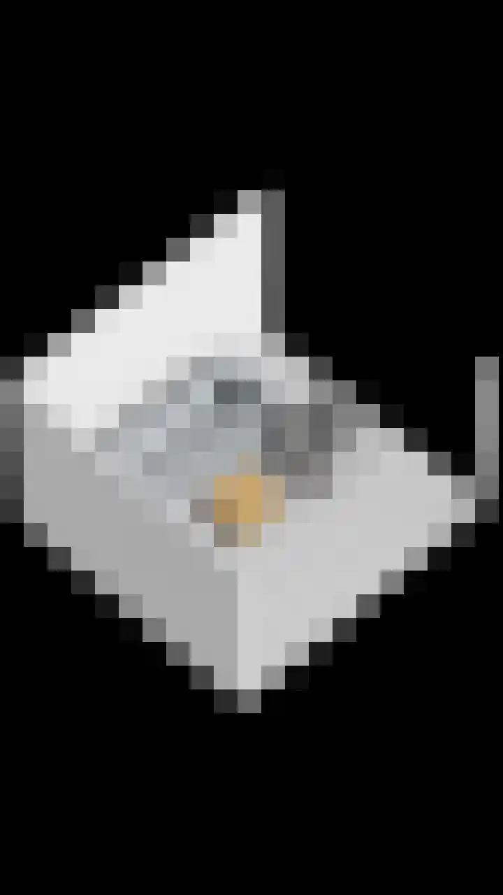 De Laathof 1 Sint Geertruid thumbnail 78