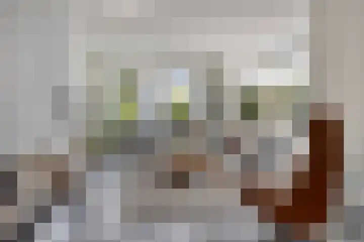 De Laathof 1 Sint Geertruid thumbnail 9