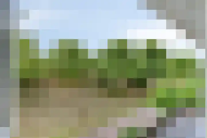 De Laatste Stuiver 1 Amersfoort thumbnail 31