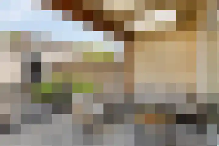 De Laatste Stuiver 1 Amersfoort thumbnail 38