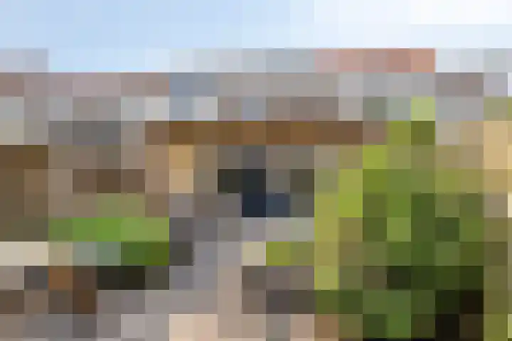 De Laatste Stuiver 1 Amersfoort thumbnail 41