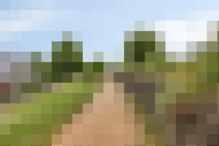 De Laatste Stuiver 1 Amersfoort thumbnail 43