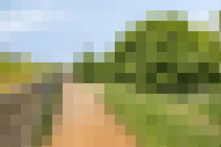 De Laatste Stuiver 1 Amersfoort thumbnail 44