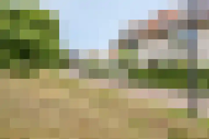 De Laatste Stuiver 1 Amersfoort thumbnail 9