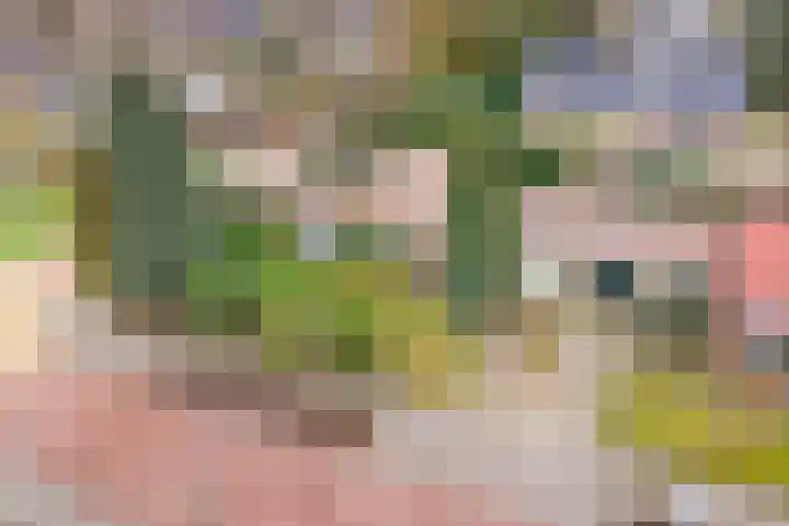 De Laegte 27 Terborg