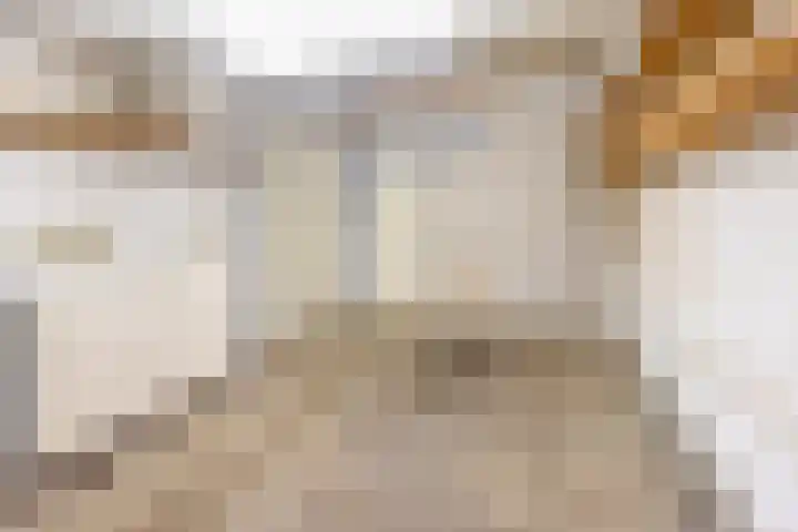De Laegte 27 Terborg thumbnail 36