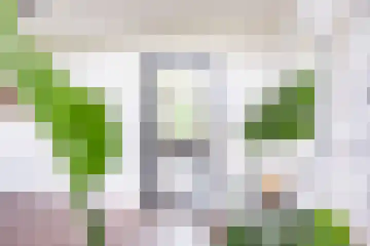 De Laegte 4 Terborg thumbnail 10