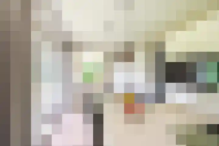 De Laegte 4 Terborg thumbnail 11