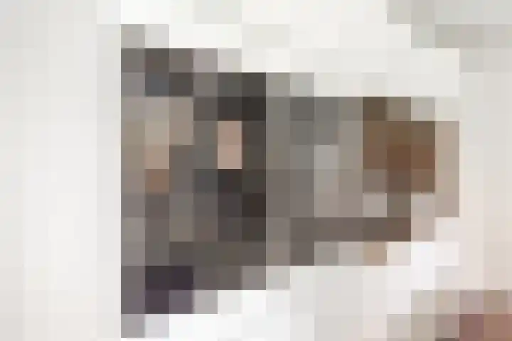 De Laegte 4 Terborg thumbnail 12