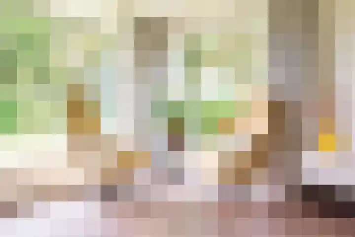 De Laegte 4 Terborg thumbnail 18