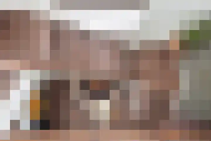 De Laegte 4 Terborg thumbnail 22