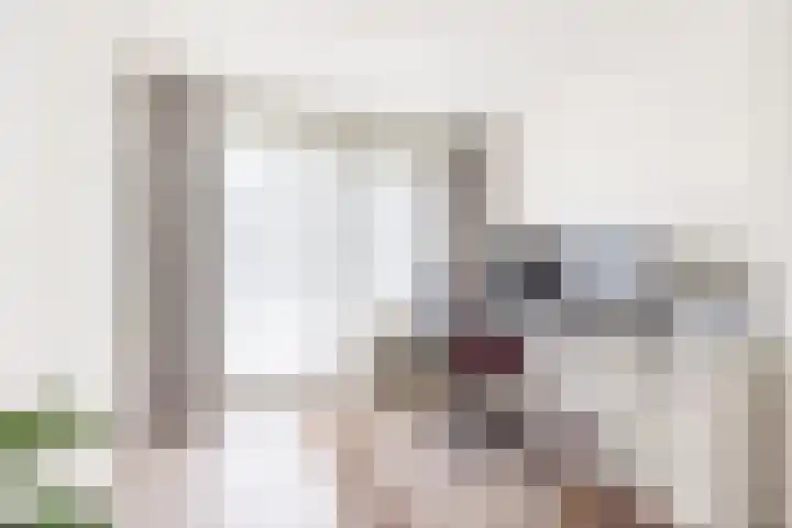 De Laegte 4 Terborg thumbnail 28