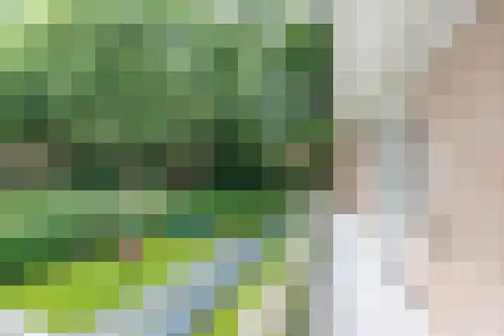 De Laegte 4 Terborg thumbnail 37
