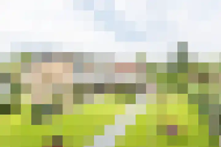 De Laegte 4 Terborg thumbnail 4