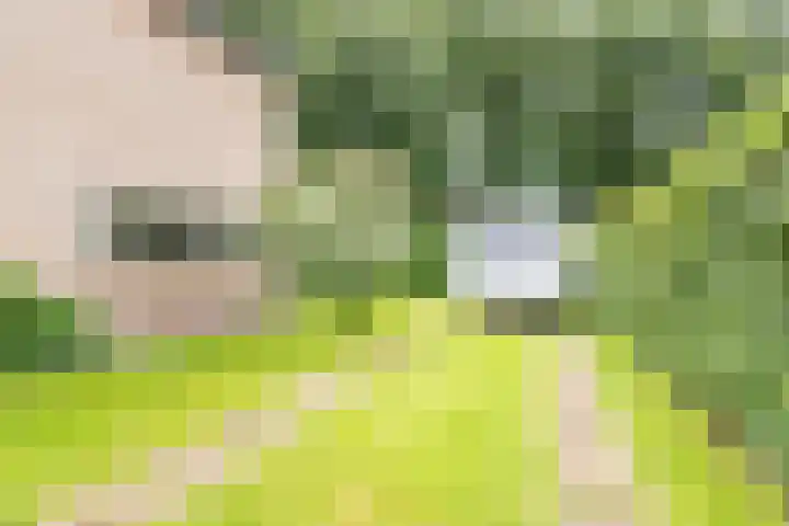 De Laegte 4 Terborg thumbnail 41