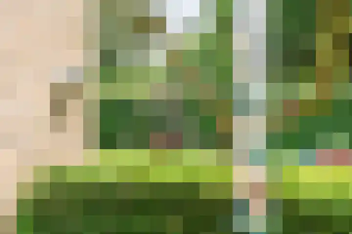 De Laegte 4 Terborg thumbnail 42