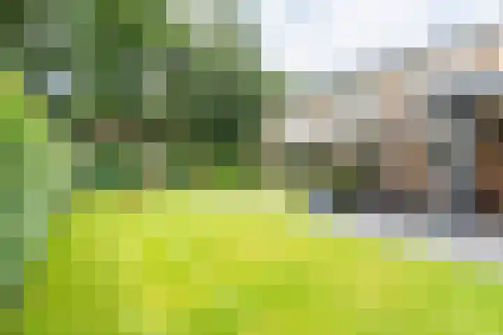 De Laegte 4 Terborg thumbnail 43