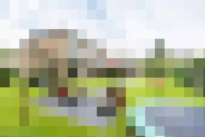 De Laegte 4 Terborg thumbnail 44