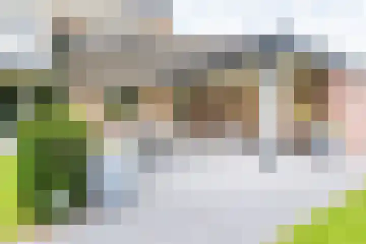 De Laegte 4 Terborg thumbnail 45