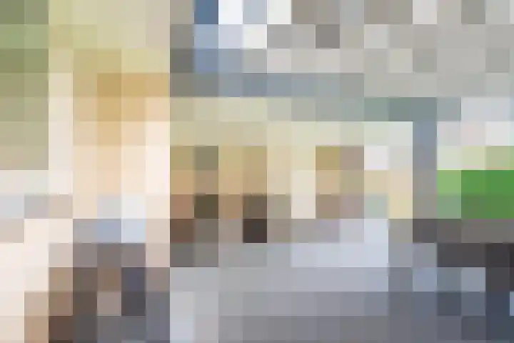 De Laegte 4 Terborg thumbnail 46