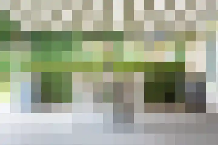 De Laegte 4 Terborg thumbnail 47