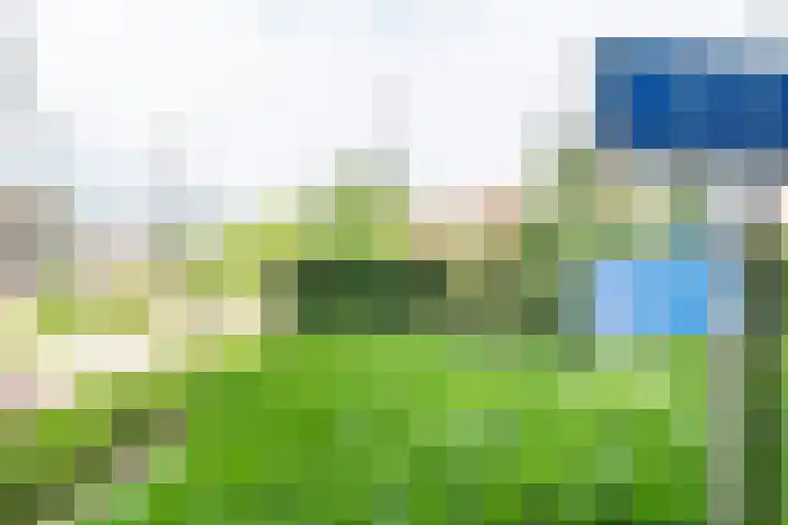 De Laegte 4 Terborg thumbnail 49