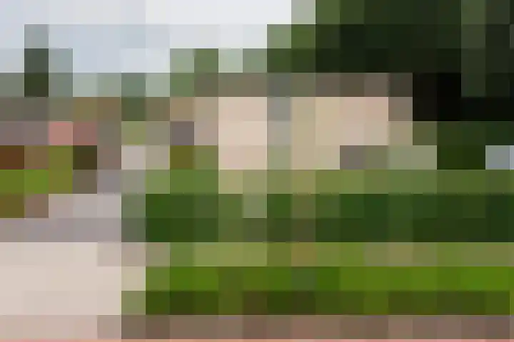 De Laegte 4 Terborg thumbnail 5