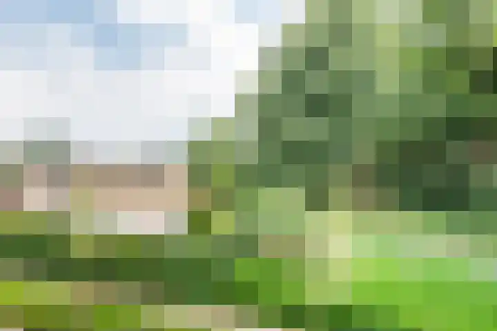 De Laegte 4 Terborg thumbnail 50