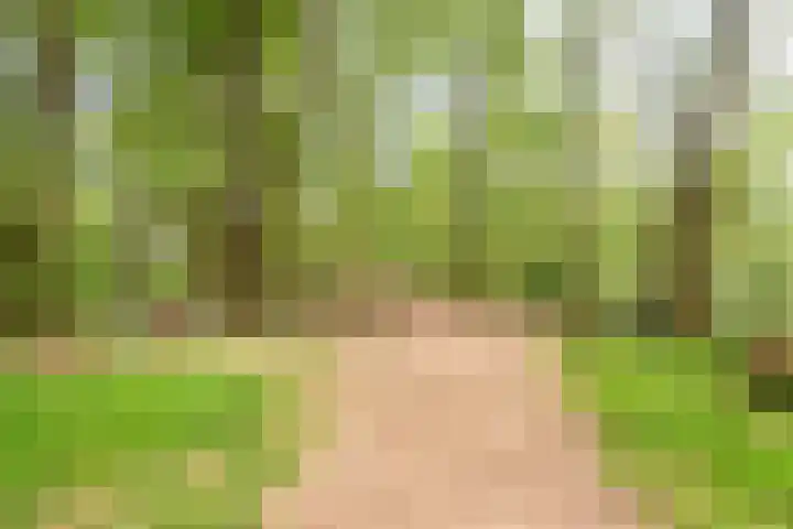 De Laegte 4 Terborg thumbnail 51