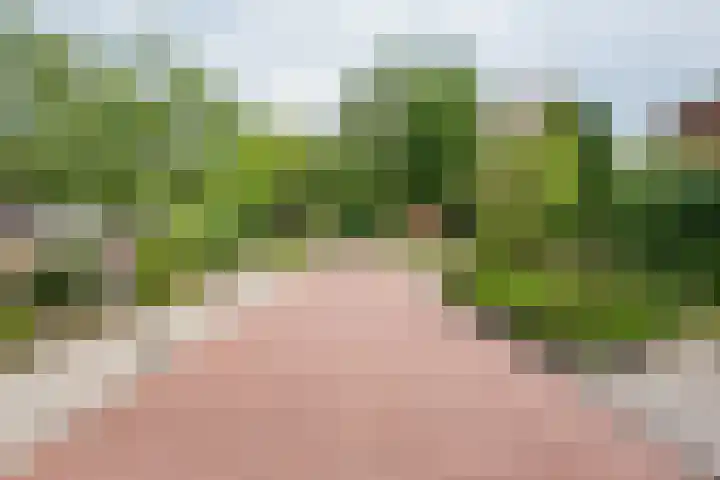 De Laegte 4 Terborg thumbnail 52
