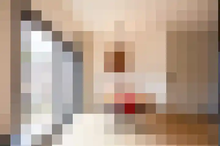 De Lage Wick 7 Oosterhout thumbnail 14