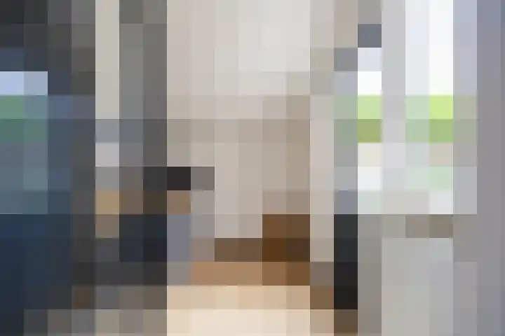 De Lage Wick 7 Oosterhout thumbnail 16