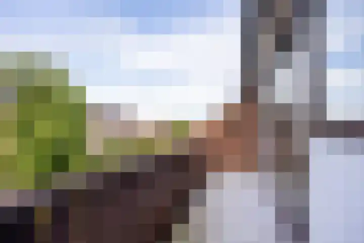 De Lage Wick 7 Oosterhout thumbnail 23
