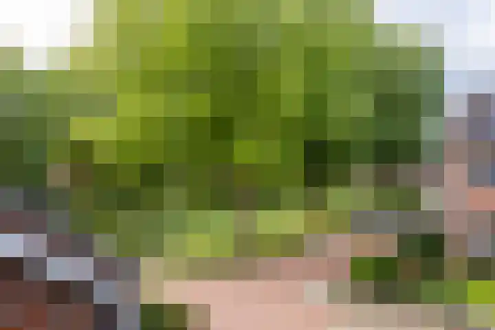 De Lage Wick 7 Oosterhout thumbnail 24