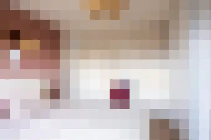 De Lage Wick 7 Oosterhout thumbnail 27