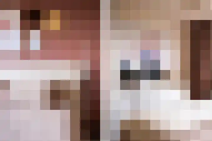 De Lage Wick 7 Oosterhout thumbnail 28
