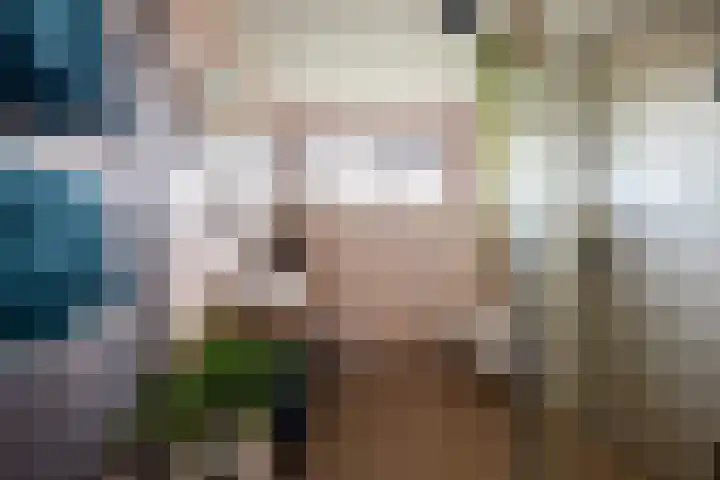De Lage Wick 7 Oosterhout thumbnail 29