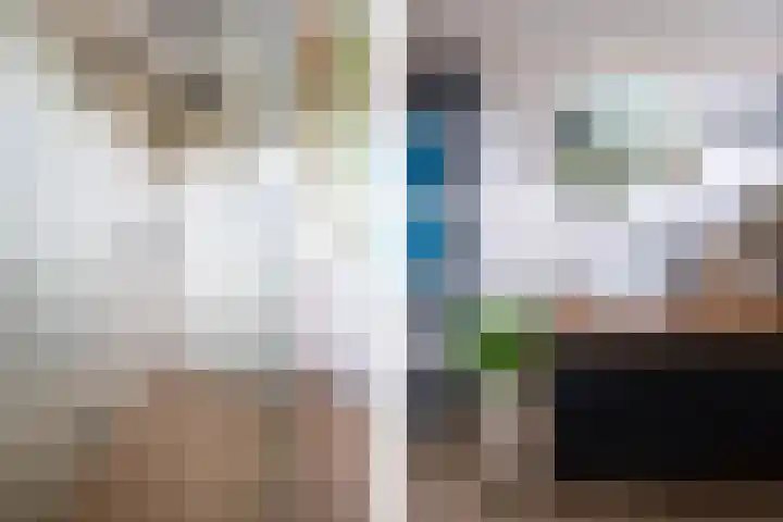 De Lage Wick 7 Oosterhout thumbnail 30