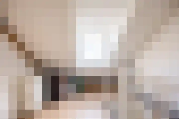 De Lage Wick 7 Oosterhout thumbnail 33