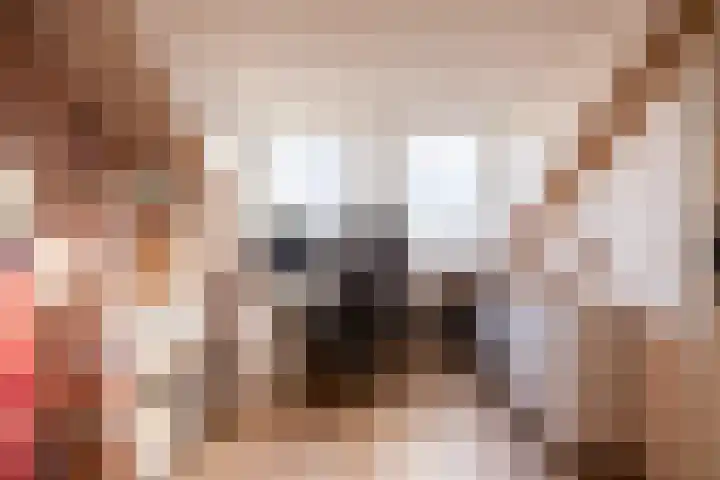 De Lage Wick 7 Oosterhout thumbnail 34