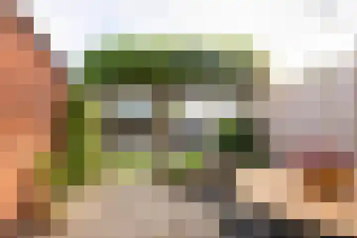 De Lage Wick 7 Oosterhout thumbnail 36