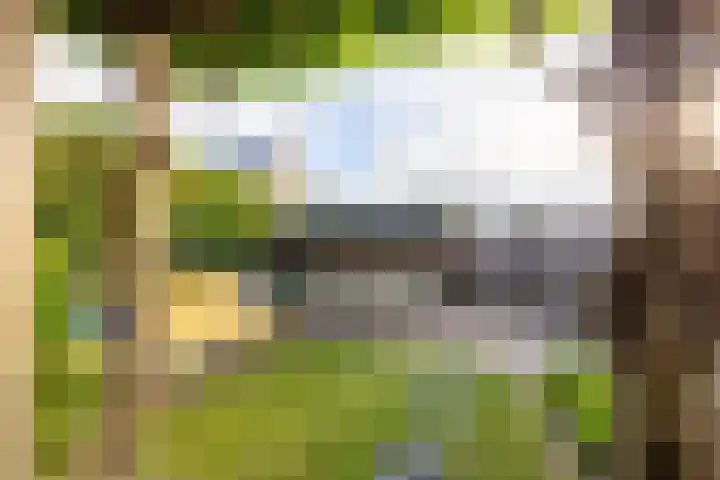 De Lage Wick 7 Oosterhout thumbnail 37